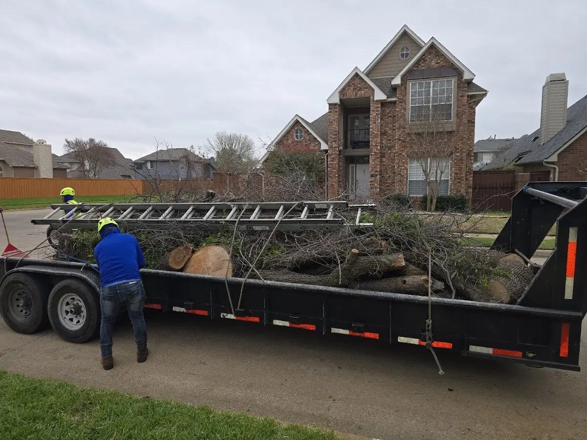 Expert Tree Pest Control with proper safety equipment in East Peoria